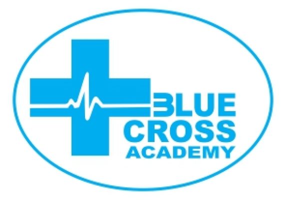 Blue Cross Academy Logo